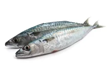 Manfaat Ikan kembung untuk kesehatan