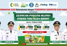 pemerintah Aceh gelar pasar murah di meulaboh