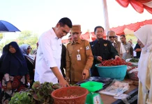 Bupati Tarmizi Hadiri Pasar Tani