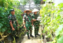Kasdam IM Apresiasi Dandim Abdya Sulap Pekarangan Jadi Lahan Ketahanan Pangan