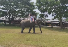Gajah Saree Jadi Destinasi Favorit Liburan Keluarga Aceh