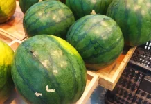 Semangka Pelepas Dahaga, Jadi Primadona Buah Selama Bulan Ramadhan