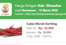 Harga Pangan di Simeulue Relatif Stabil, Cabai Merah Alami Kenaikan