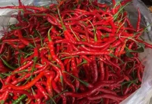 Harga Cabai dan Ayam Naik, Harga Beras di Meulaboh Masih Stabil