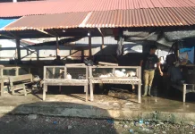 Permintaan Ayam Potong di Meulaboh Meningkat jelang Lebaran, Pasokan Menipis