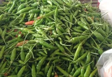 Harga Cabai di Pasar Aceh Barat Stabil