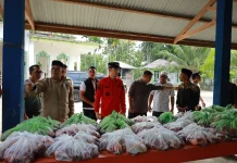 Bupati Aceh Barat Serahkan Bantuan Daging Meugang Presiden
