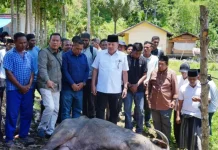 Bupati TRK Salurkan Bantuan Daging Meugang dari Presiden Prabowo