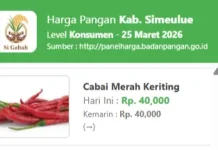 Harga Pangan di Simeulue Stabil, Sejumlah Komoditas Masih Tinggi