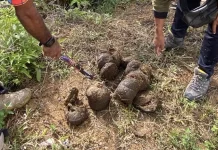 Ledakan Petasan Halau Gajah di Pedalaman Aceh Barat
