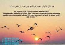 Empat Nikmat Wajib Disyukuri Setiap Waktu