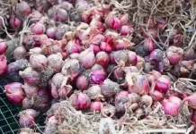 Provinsi Aceh Alami Deflasi 0,24 Persen pada Februari