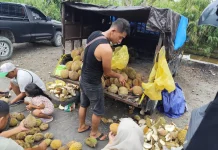 Sensasi Durian Salah Musim yang Manis Menggugah Selera