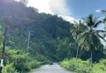 Mapala Seuramo Raya Jelajah Alam Ekspedisi Dolok Sibau
