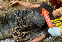 Warga Nagan Raya Geger Temukan Mayat di Kebun Sawit