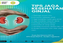 Rawat Ginjal Sebagai Organ Vital Penting Bagi Tubuh