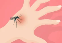Peralihan Cuaca, Mendukung Perkembangbiakan Nyamuk Aedes Aegypti
