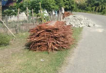 Daun Rumbia Tetap Diminati di tengah Modernisasi di Aceh Barat