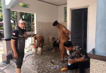 pemkab Nagan Raya Peringati HUT Satpol PP dan linmas
