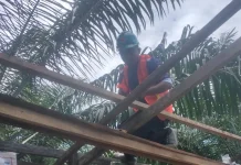 BPBD Aceh Barat Perbaiki Rumah yang Rusak akibat Angin Kencang di Cot Kumbang