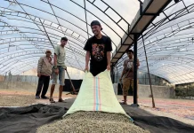 PT PEMA Ekspor Perdana 19 Ton Kopi Gayo ke Amerika Serikat