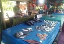 Harga Ikan  Stabil di Pasar Ikan Meulaboh