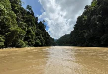menuju Air Terjun Ceuraceu, Suguhan Alam Liar bak Amazon