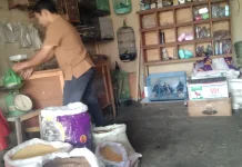 Usaha Pakan Makanan Burung dan Kucing Menjanjikan
