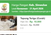 Harga Pangan Simeulue Stabil, Tidak Alami Perubahan Signifikan