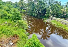 Peringati Hari Bumi: Jaga Sungai, Wujud Nyata Cinta Lingkungan