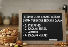Berikut Jenis Kacang Terbaik Untuk Turunkan Tekanan Darah