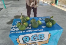 Buah Sangkis Kian Langka, Jejak Transmigrasi di Aceh Barat Tinggal Kenangan