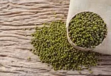Kacang Hijau Nutrisi Sehat dalam Satu Genggaman