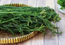 Sayur Pakis Rahasia Kesehatan Seimbang untuk Pria dan Wanita