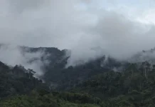 Masyarakat Beutong Surati Presiden, Tolak Tambang Emas di Jantung Hutan Aceh