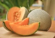 Ketahui Manfaat Buah Melon untuk Kesehatan Tubuh