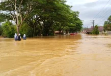 Banjir Rendam Tiga Kecamatan di Nagan Raya, BPBD Lakukan Evakuasi dan Asesmen