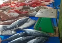 Cuaca Tak Menentu, Pasokan Ikan di Pasar Meulaboh Kian Terbatas