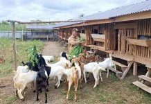 Abu Rangkileh Ajak Masyarakat Aceh Hidupkan Semangat Berqurban