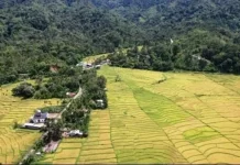 Camat: Alue Badeuk Masuk Wilayah Kabupaten Nagan Raya
