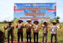 polres Aceh barat dukung swasembada  pangan panen jagung