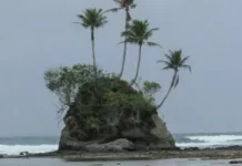 Jumlah Kunjungan Wisatawan Mancanegara ke Simeulue Meningkat