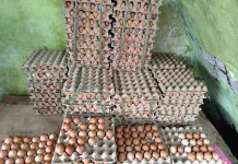 Jelang Idul Adha 2026, Harga Telur Terpantau Stabil