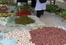 Harga Cabai Kecil di Meulaboh Naik Rp10 Ribu Jelang Iduladha
