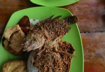 Pilihan Menu Selain Daging yang Enak Disantap saat Iduladha