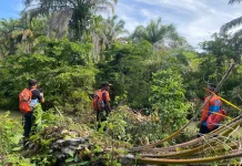 Gajah Liar Kembali Masuk Permukiman, WRU BPBD Lakukan Penghalauan