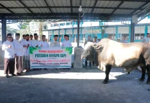 Bupati Aceh Barat Apresiasi Presiden atas Bantuan Hewan Kurban