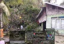 Satu Unit Rumah Warga di Alafan Rusak Tertimpa Pohon Tumbang