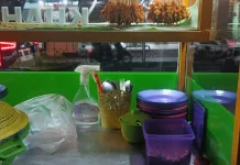 Sate Matang Jadi Kuliner Favorit Baru Meulaboh