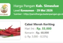 Harga Cabai Merah di Simeulue Turun Rp5 Ribu per Kilogram